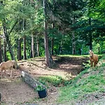 Bellosta Family Country Club Mb Alpe Moiana Lejlighed Armeno